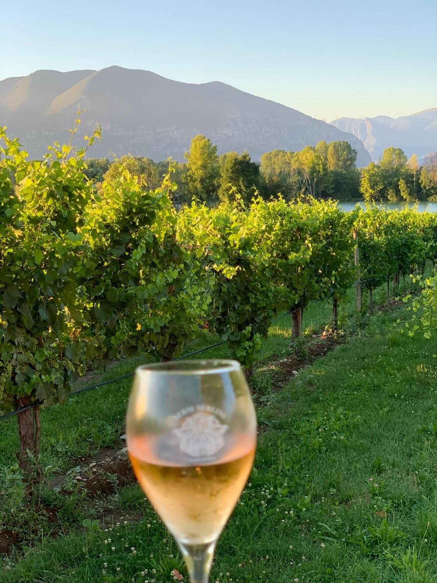 La Casa Di Saten - Appartamento In Franciacorta Ербуско Екстериор снимка